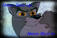 Never Give Up, Never Give In.