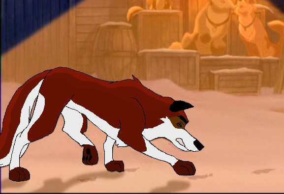 Trade with Dire Wolves.