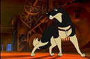 Rex <3