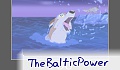 Baltic132