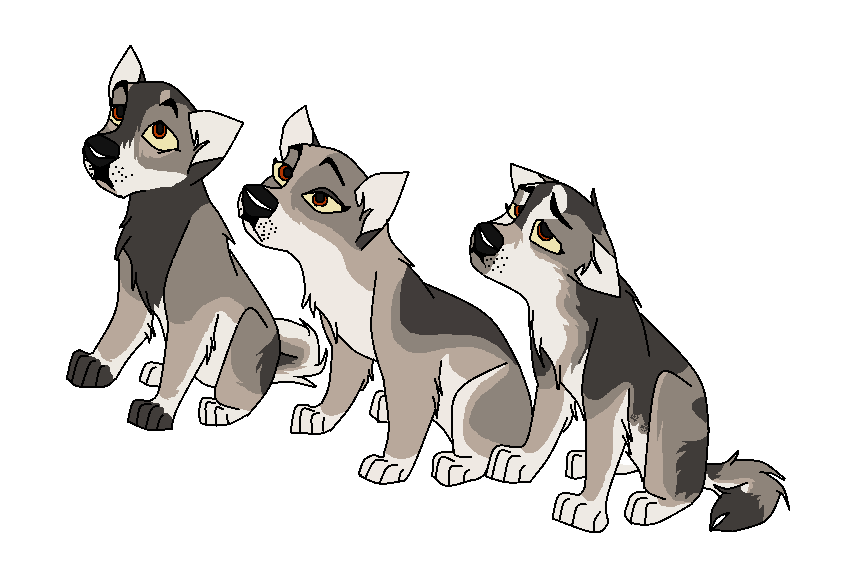 Call the police, 3 puppies were lost