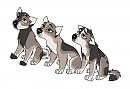 Call the police, 3 puppies were lost