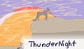 ThunderNight