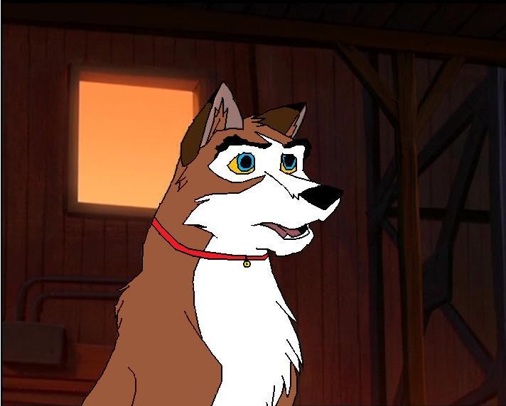 Duke