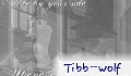 Tibbeh