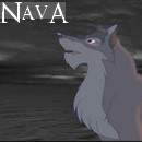 Nava Avvie