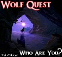 WQ Promo