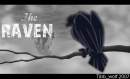 The Raven