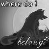 Belong