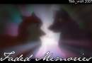 Faded Memories
