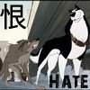 Hate avvie