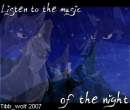 Music of the Night