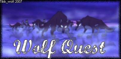 WQ promo