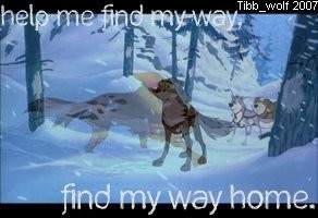 Find My Way