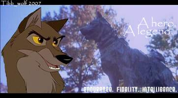 Balto Sig