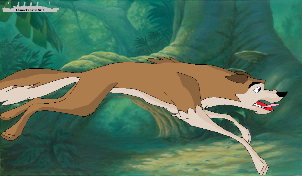 Nikolai - Ada the Animal request