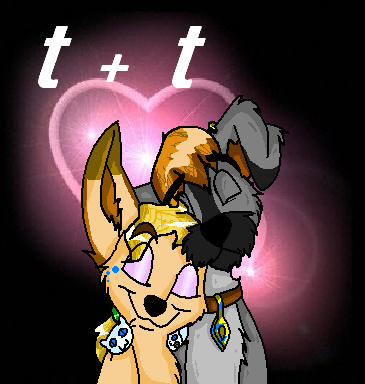 t+t