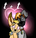 t+t