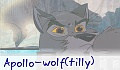 Apollo-pony(tilly)
