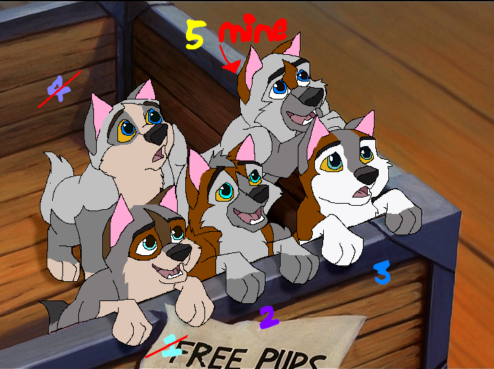 kyle and sindeys pups GET THEM QUIKE!! 