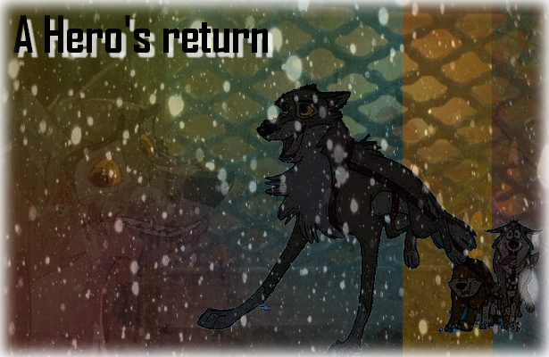 a hero's retrun