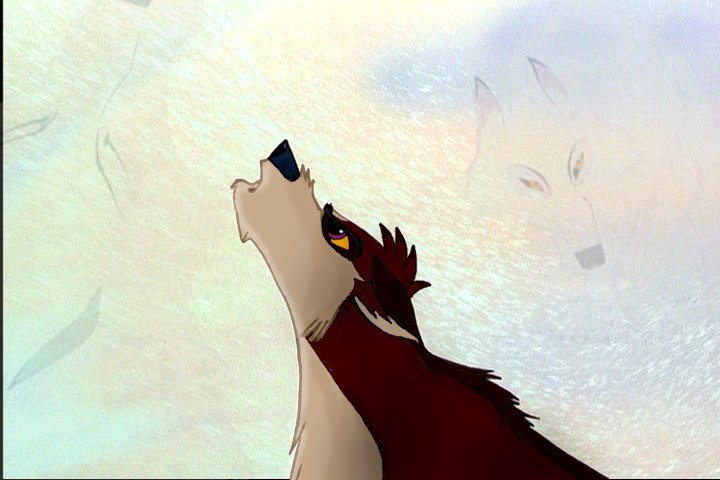 Ko and White Wolf, Heritage of the wolf