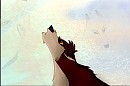 Ko and White Wolf, Heritage of the wolf