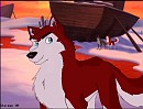 Dingo