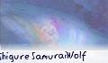 Shigure SamuraiWolf
