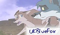 UKBlueFox