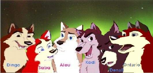 Pups adults sig modified