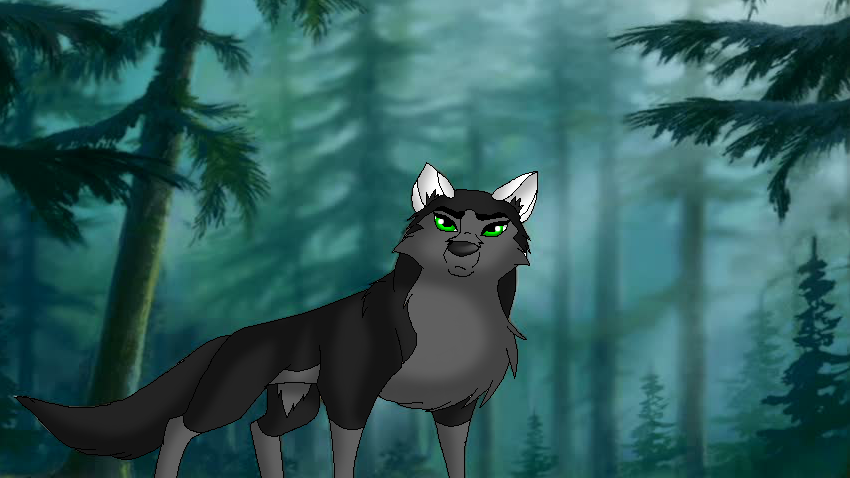 In The Woods