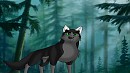 In The Woods