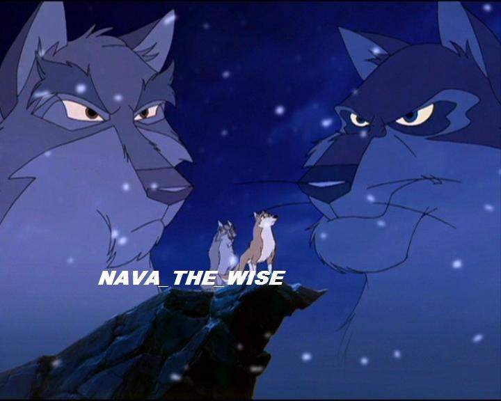 This is for Nava