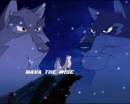This is for Nava