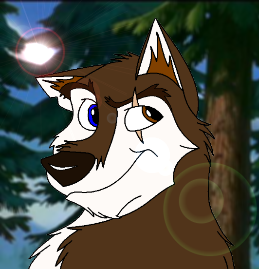 Aurora Husky's Request