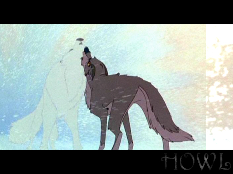 HOWL 800X600