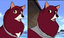 After & Before