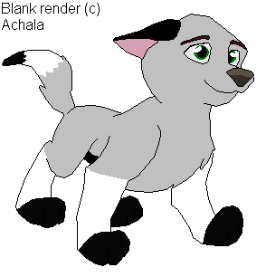 Puppy Kavik