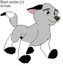 Puppy Kavik