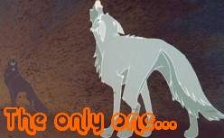 The only one?
