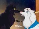 Black&White Wolves