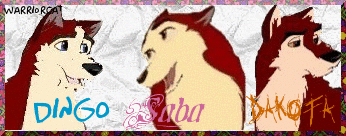 Dingo Saba Dakota Siggie
