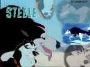 Steele Desktop