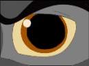 Wolf Eye (brown)