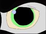 Wolf Eye *green*