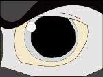 Wolf Eye *silver*