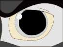 Wolf Eye *silver*