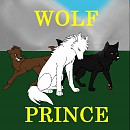 Fanfic Cover