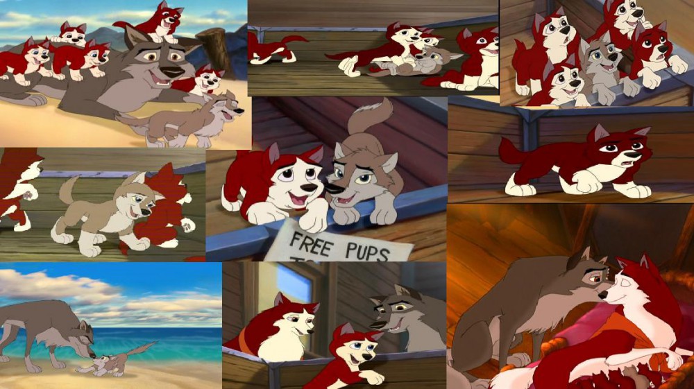 Balto and Jenna's pups